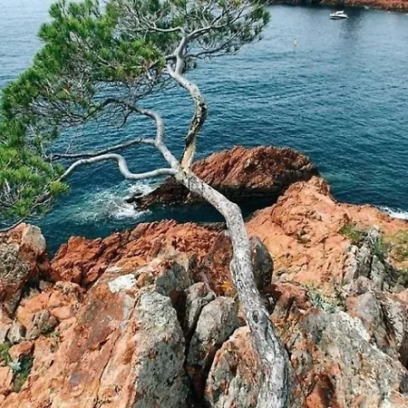 Διαμέρισμα Studio 5 Personnes Studio 4/5 Personnes Vue Mer Au Calme - Cap Esterel, Cote D'azur. Saint-Raphaël